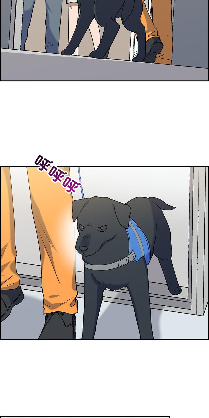 第39章：心心念念6