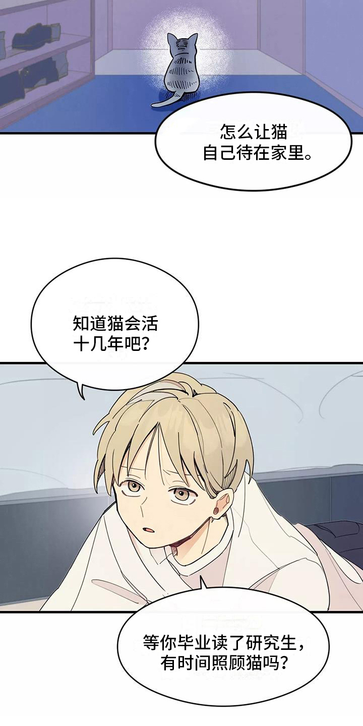 第13章：拒绝养猫14