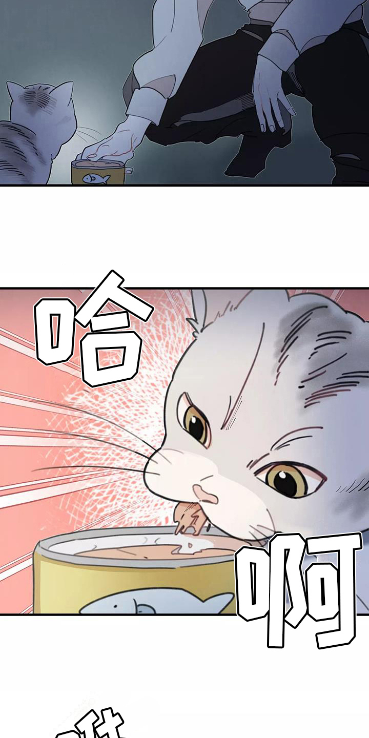 第13章：拒绝养猫8