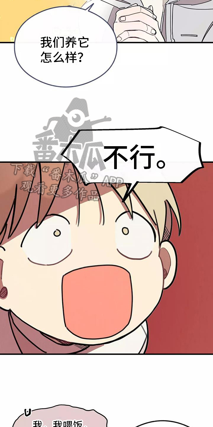第13章：拒绝养猫12