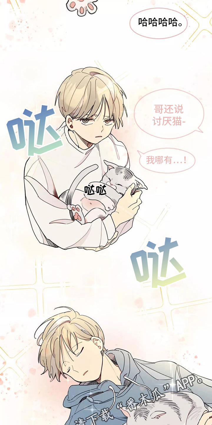 第14章：想法19