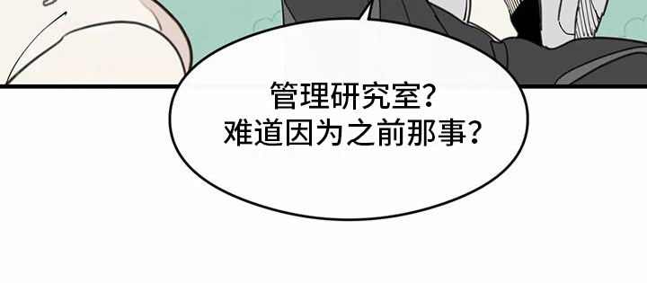 第13章：拒绝养猫19