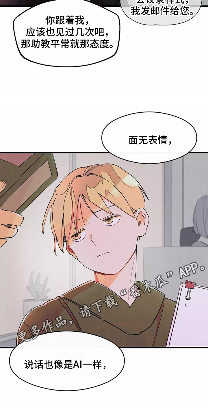 第19章：在意19
