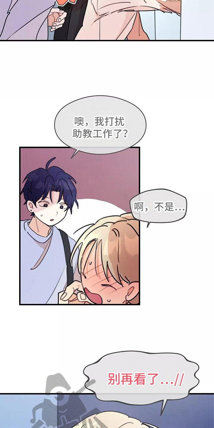 第16章：讨论5