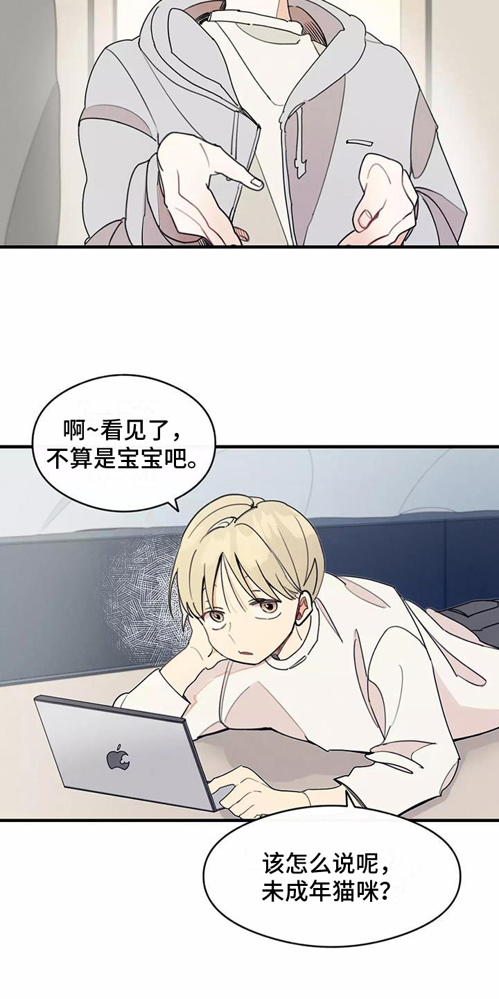 第13章：拒绝养猫10