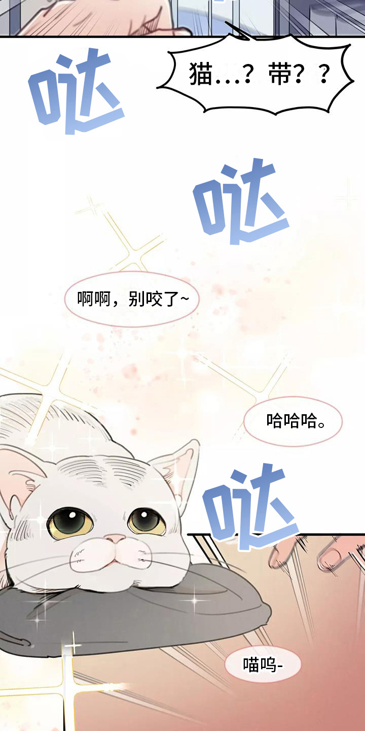 第14章：想法17