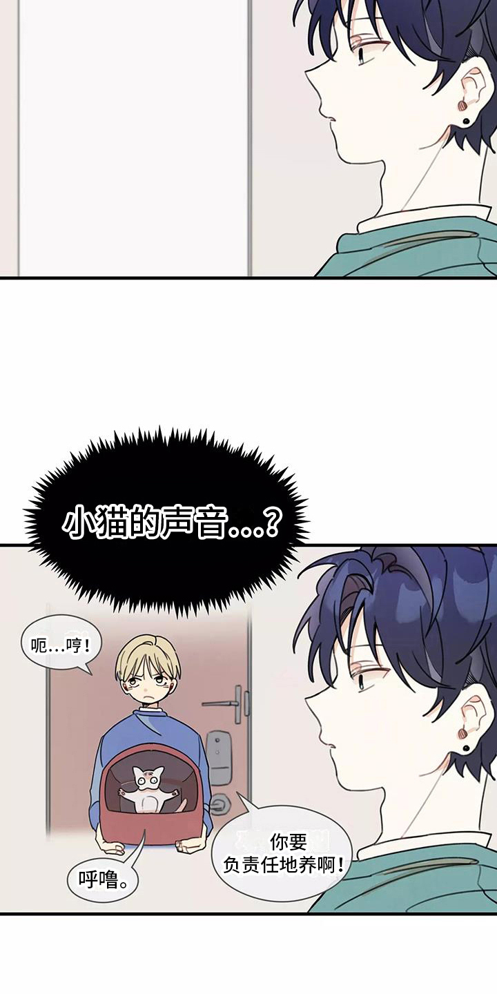第14章：想法15