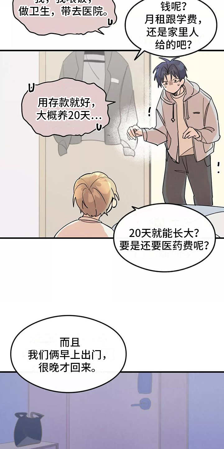 第13章：拒绝养猫13