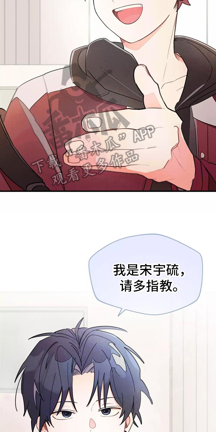 第19章：在意8