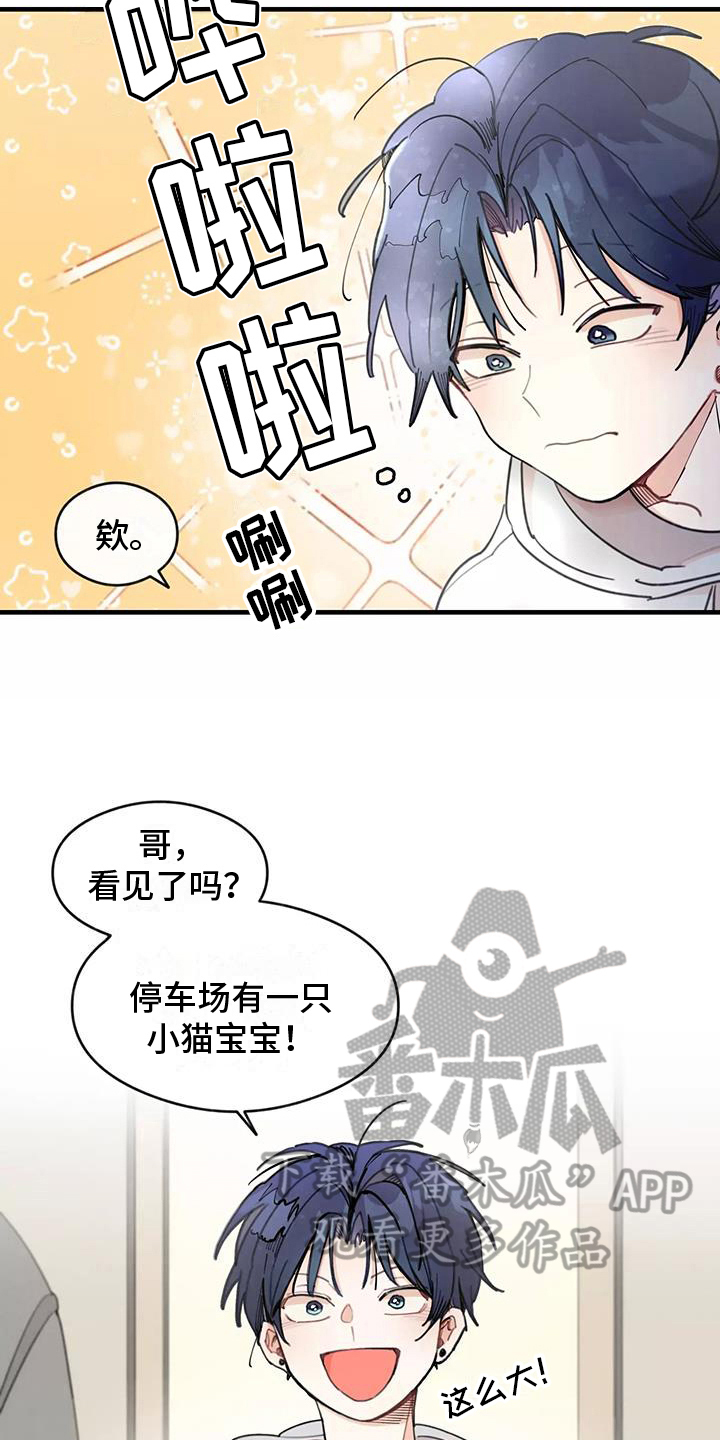 第13章：拒绝养猫9