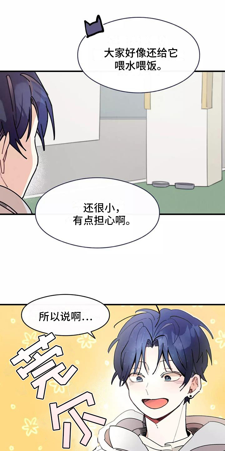 第13章：拒绝养猫11