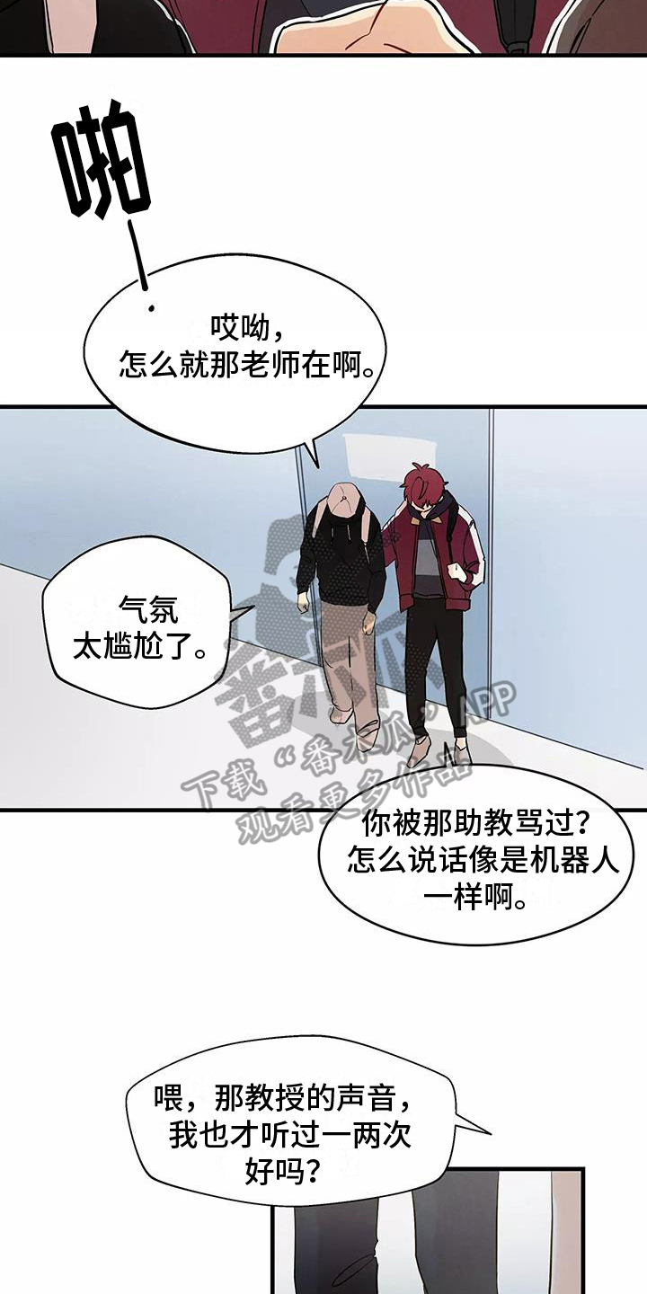 第19章：在意17