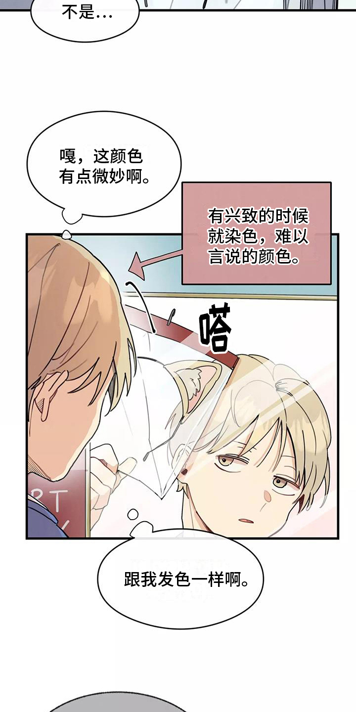 第14章：想法12