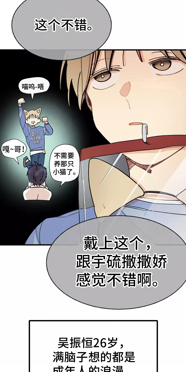 第14章：想法13