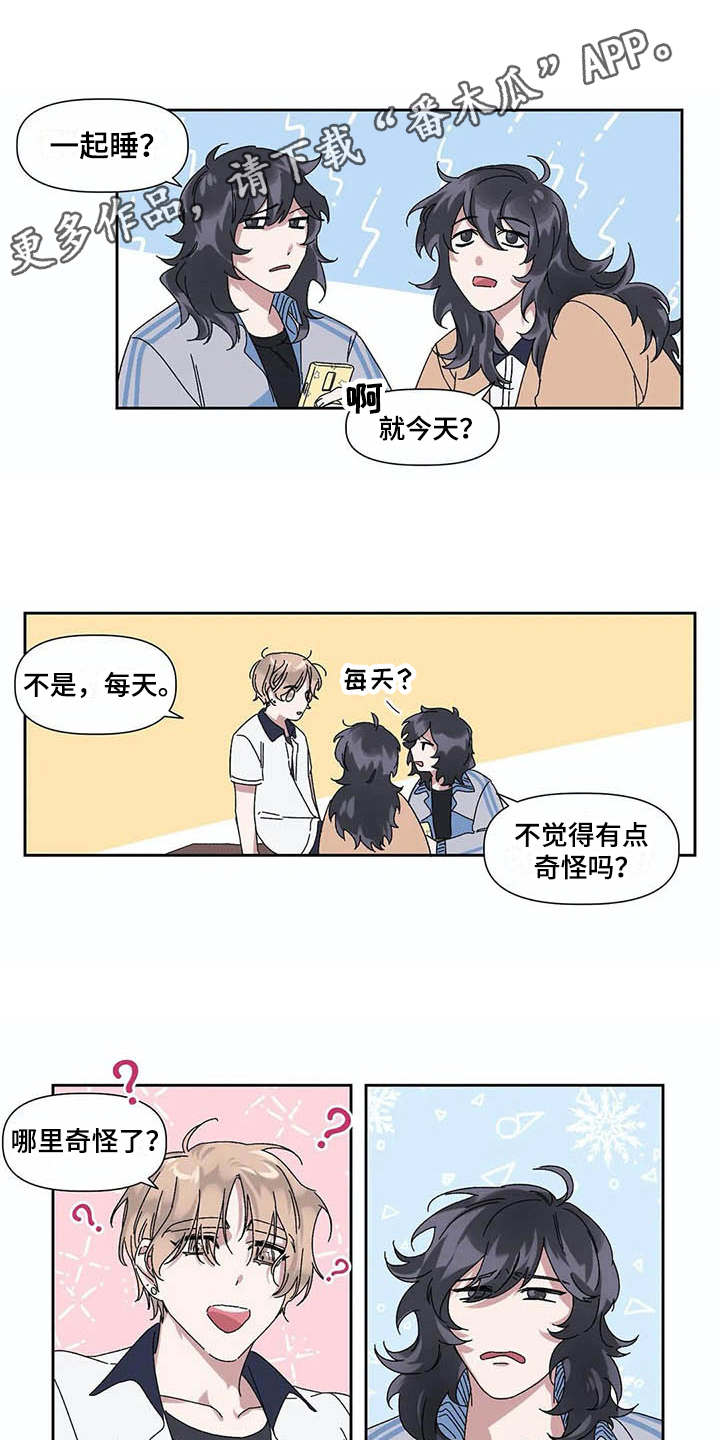 第13章：很奇怪6