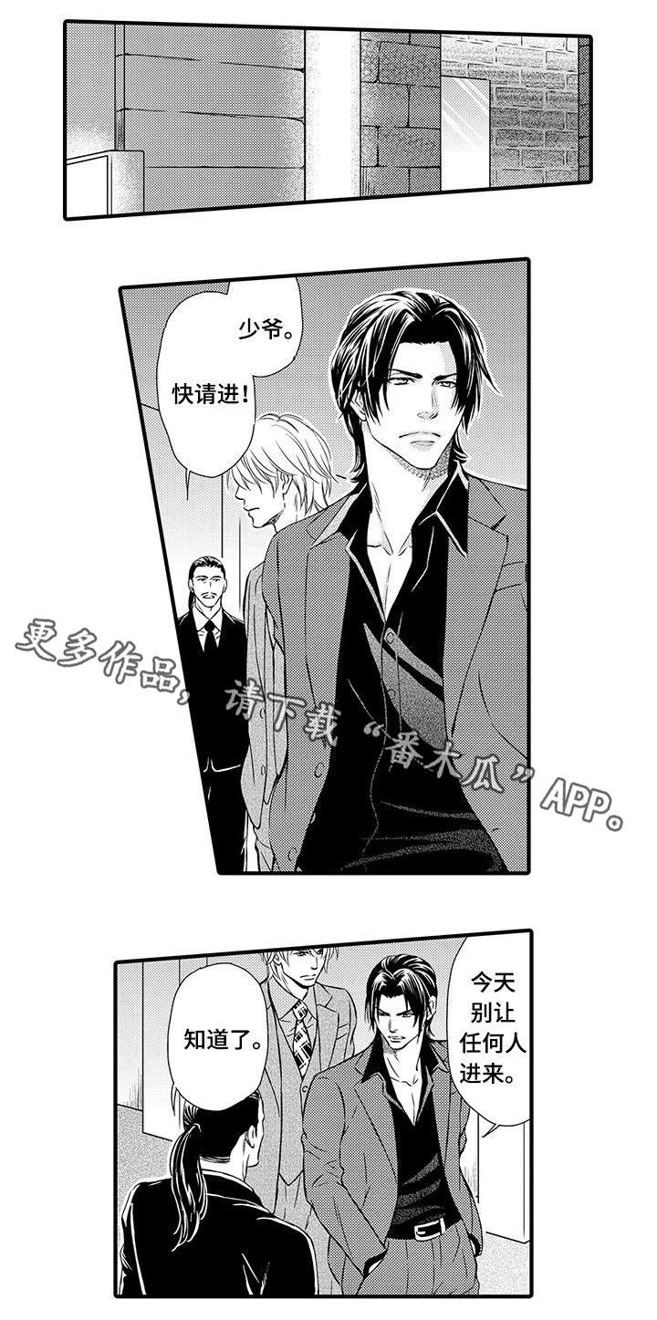 第11章：开门见山1