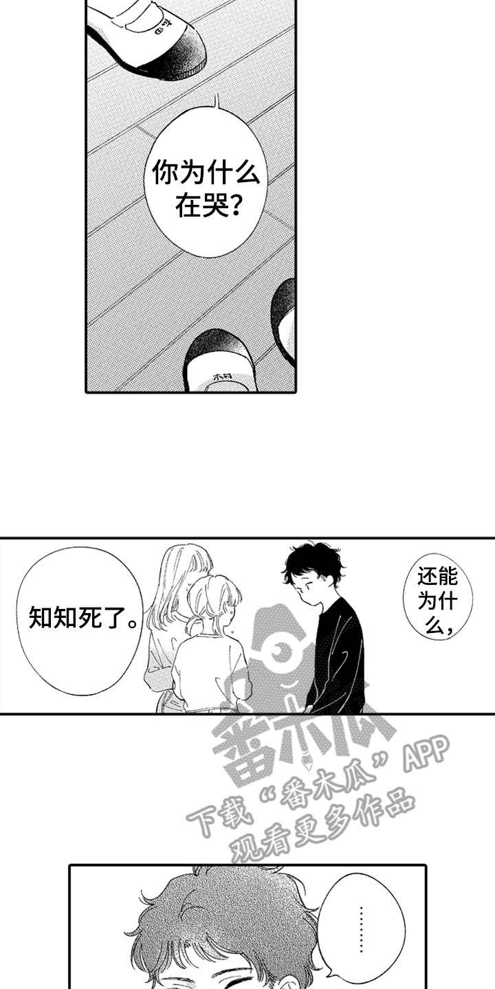 第15章：无法理解5