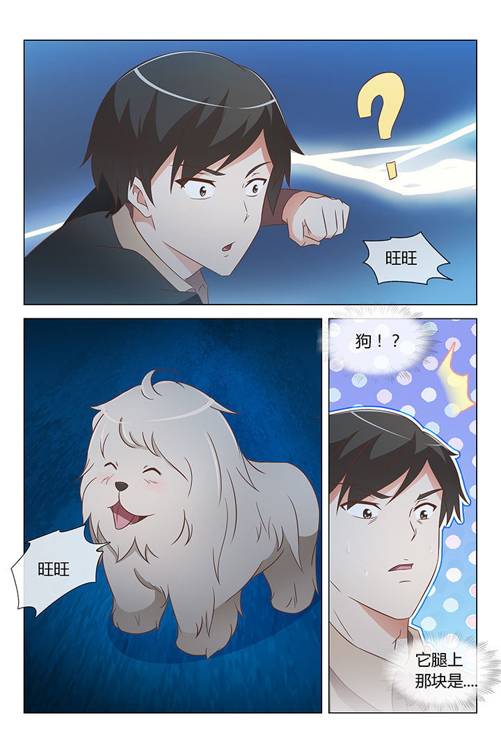 第11章：6