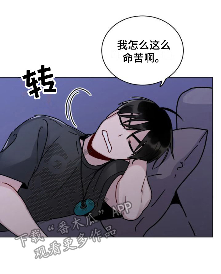 第11章：增加约定16