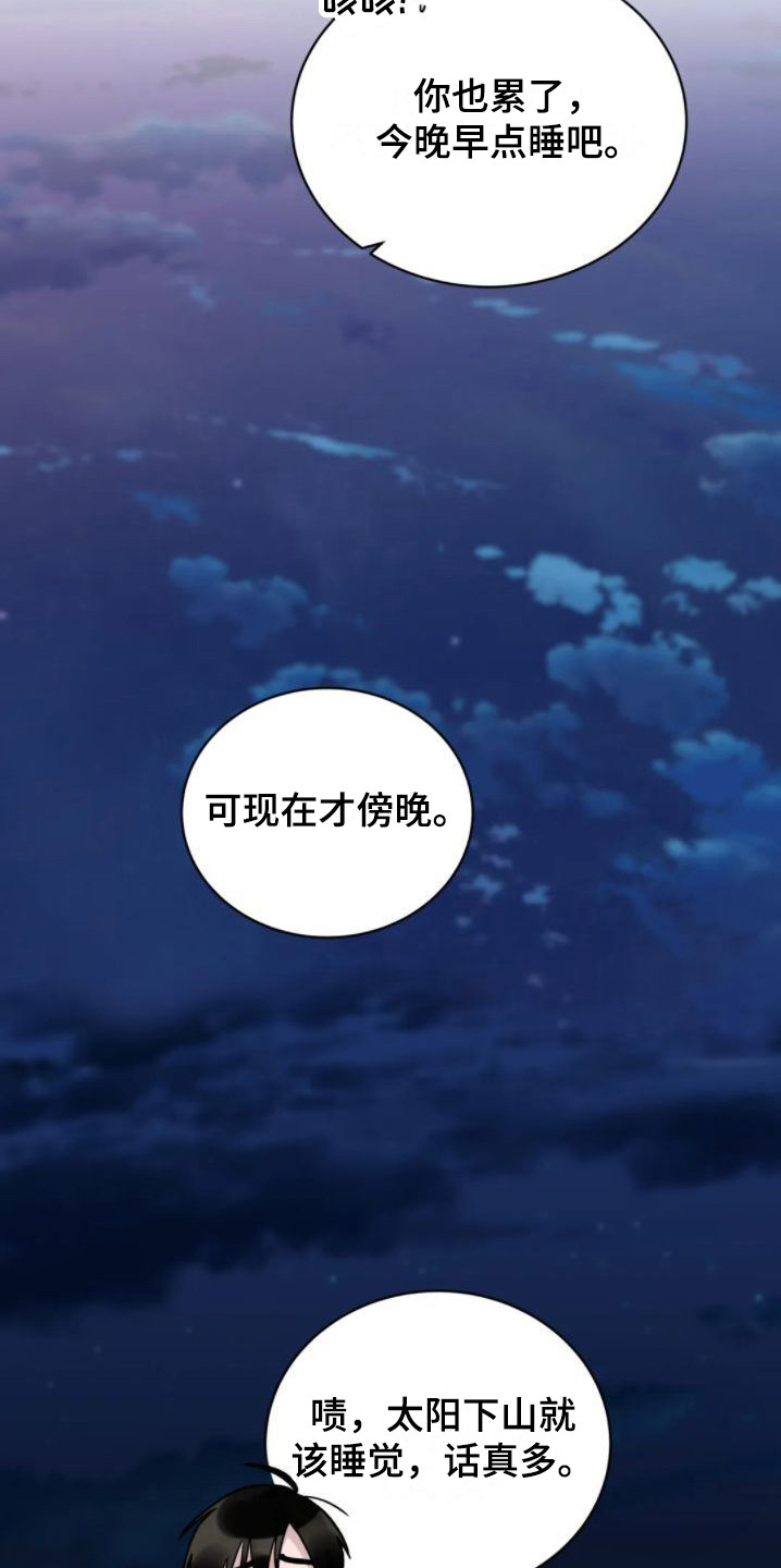 第11章：增加约定12