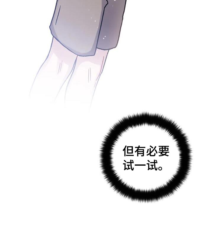 第29章：有必要试一试21