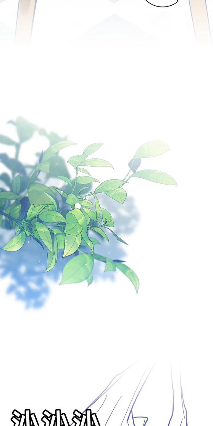 第29章：有必要试一试15