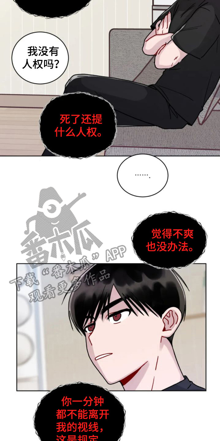 第6章：约法三章6