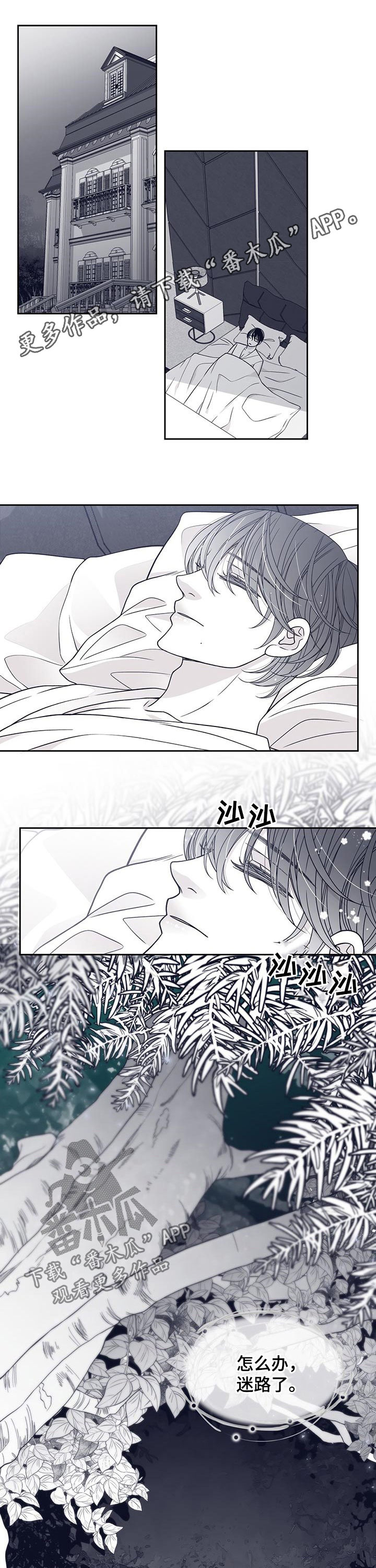 第84章：怀孕？0