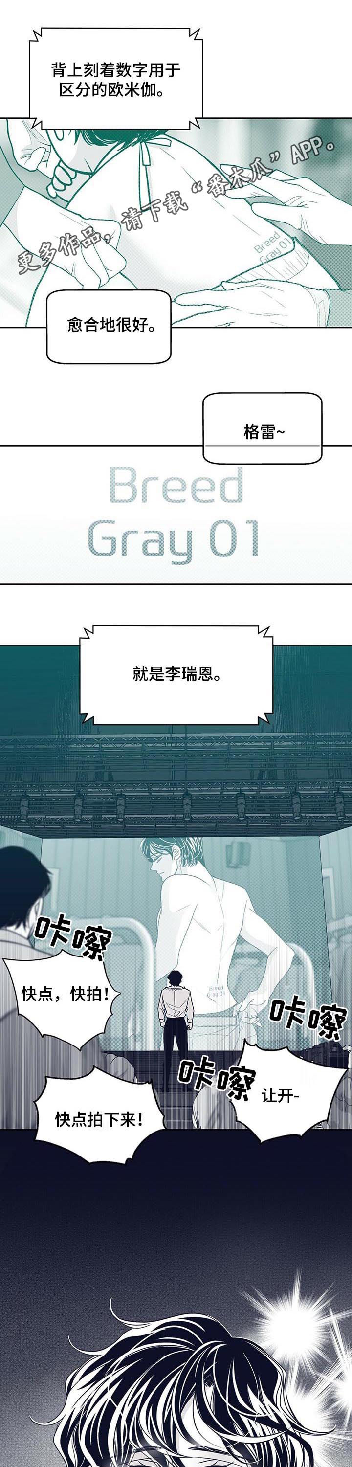 第131章：硬闯0