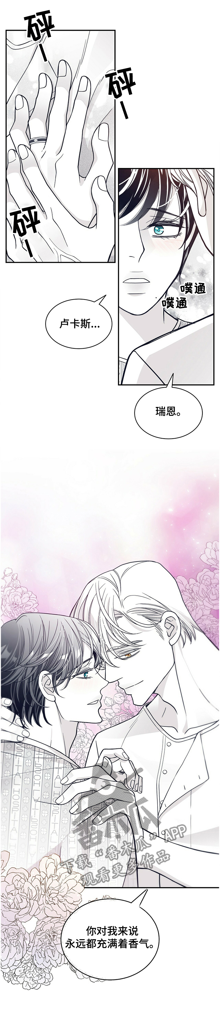 第204章：【第二季】炎症0