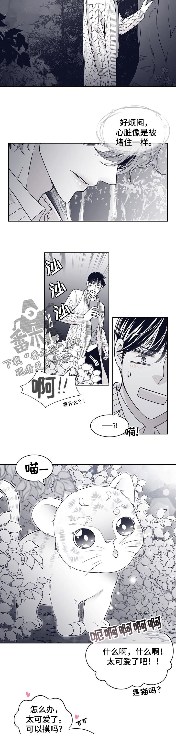 第84章：怀孕？2