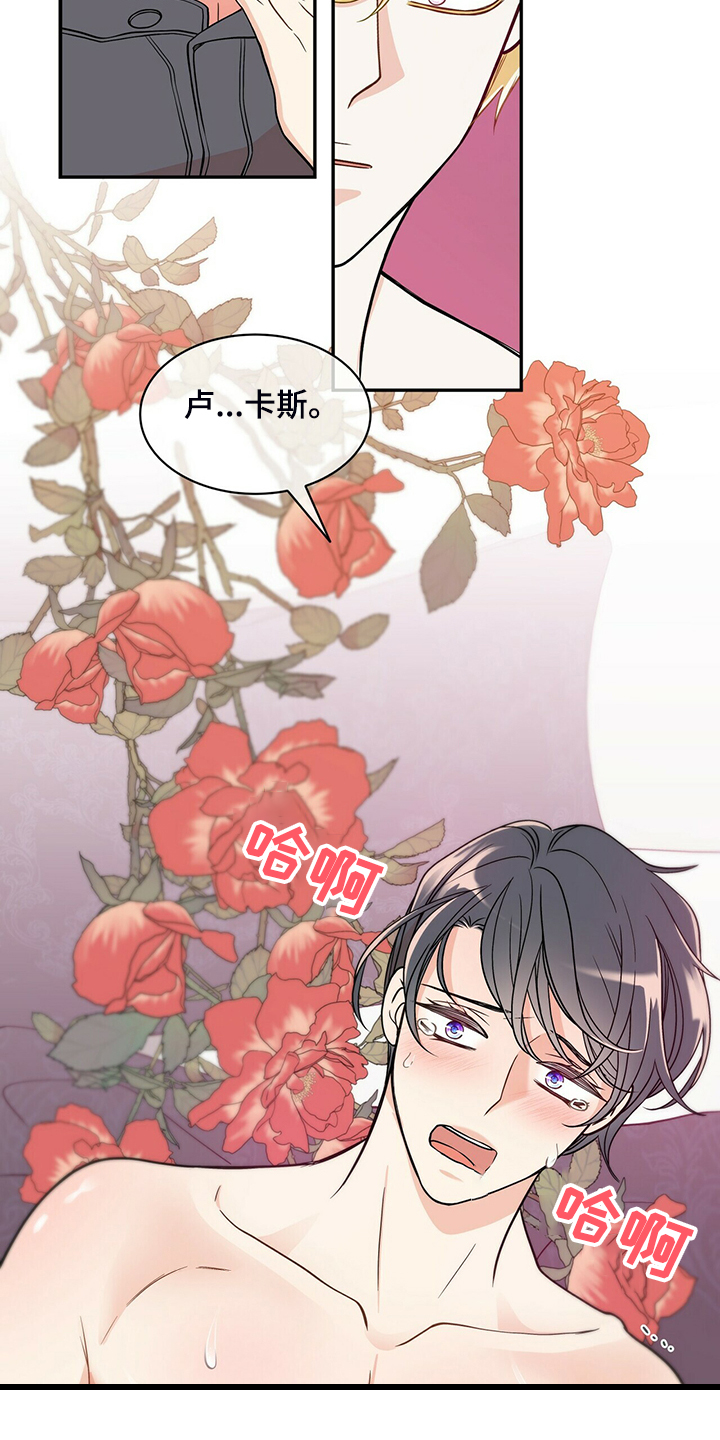 第214章：【番外】繁殖期又来了11