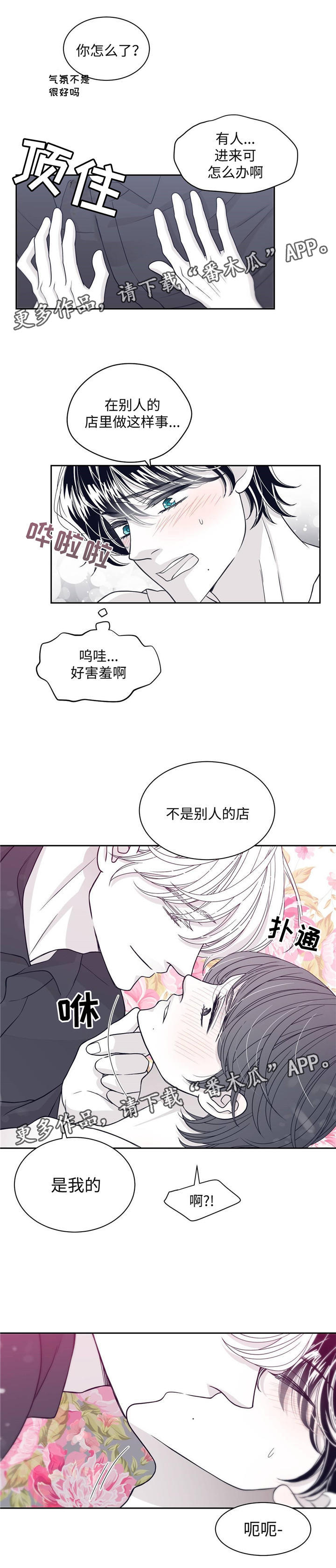 第53章：避孕药5