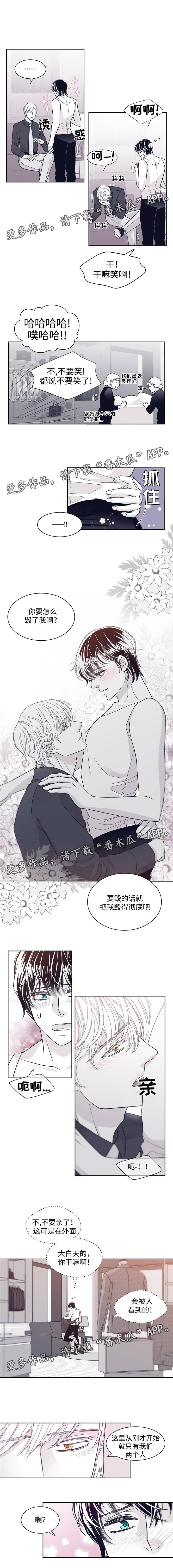 第53章：避孕药2