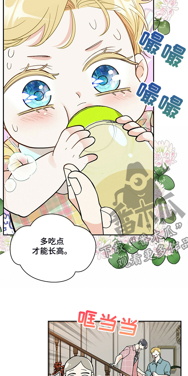 第215章：【番外】又怀孕怎么办11