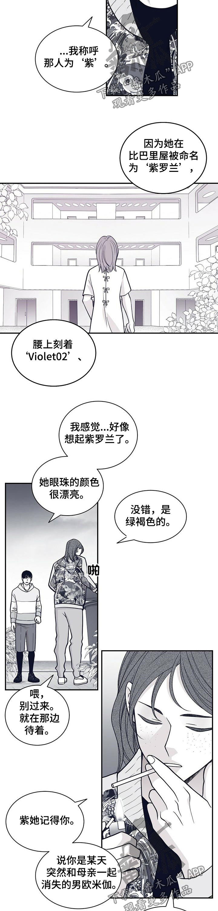 第161章：紫3