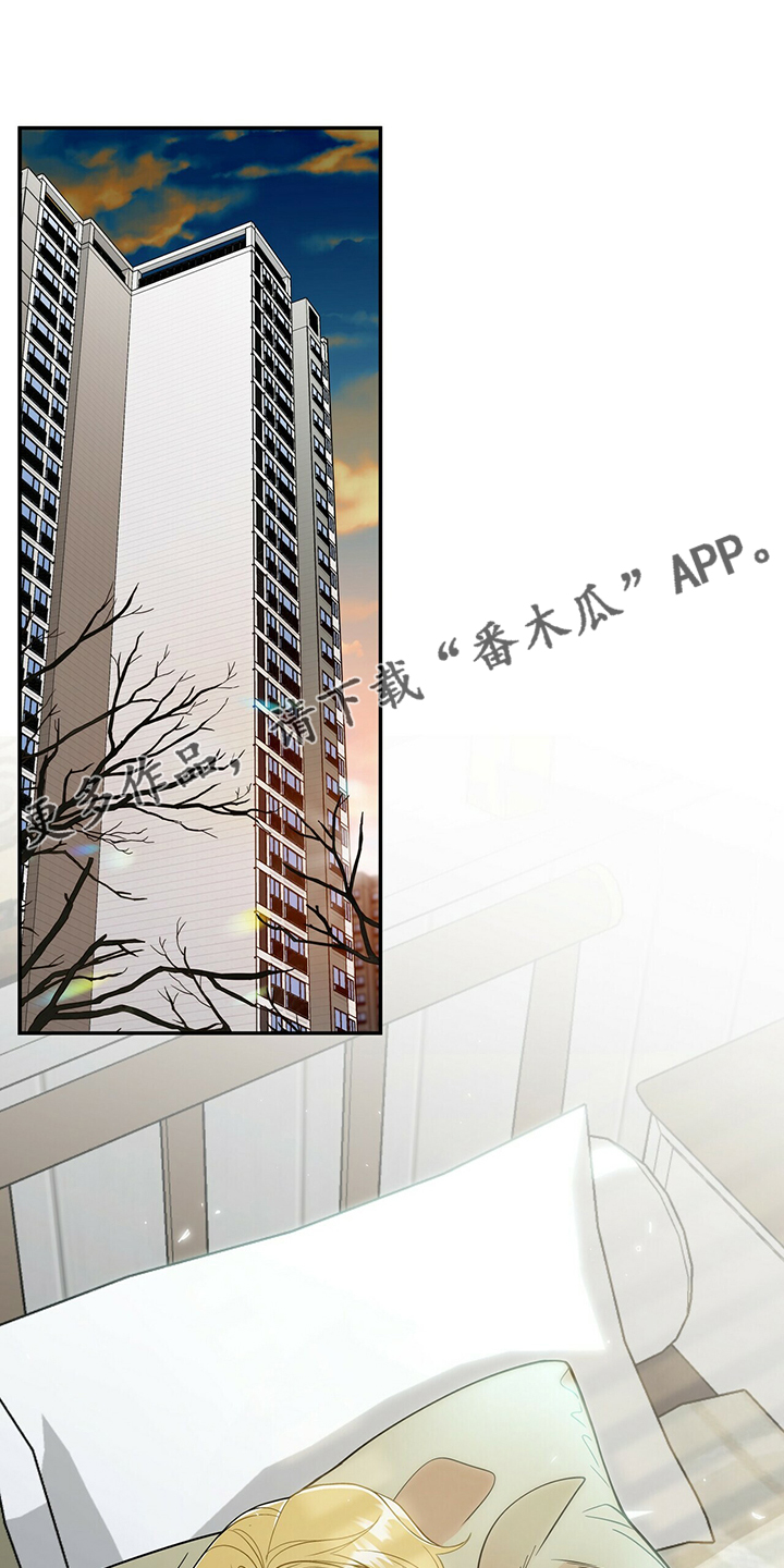 第217章：【番外】支持工作0
