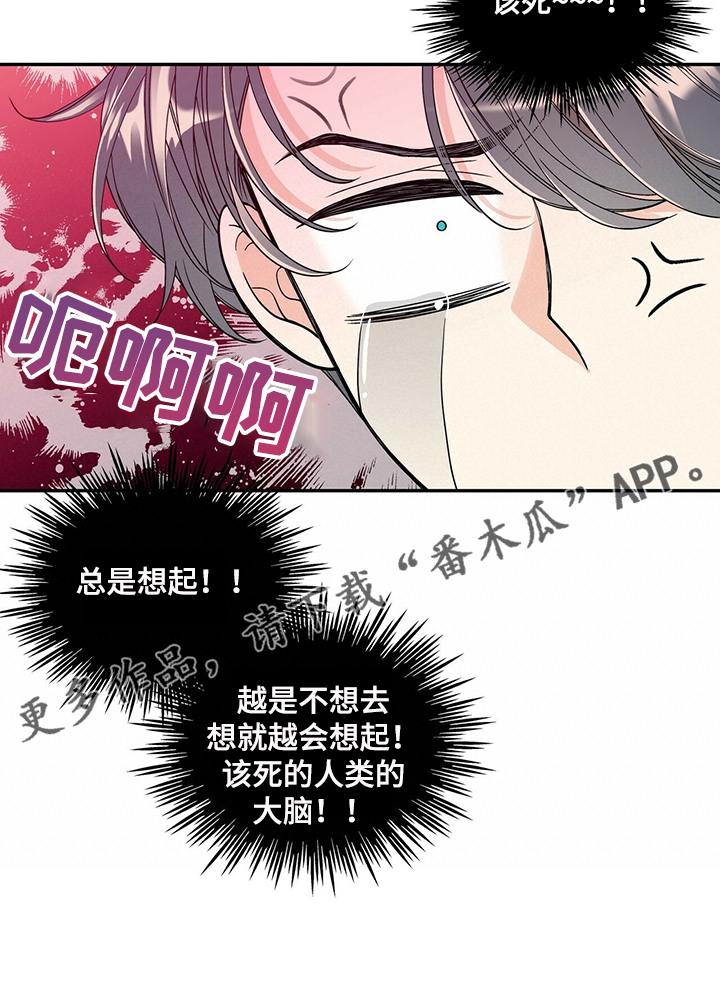 第219章：【番外】总是想起19