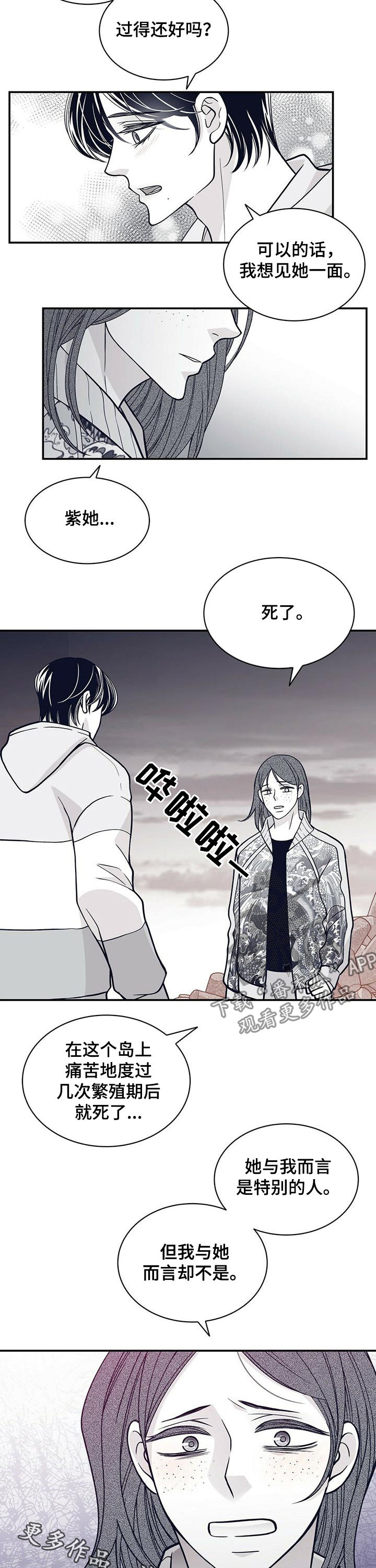第161章：紫9