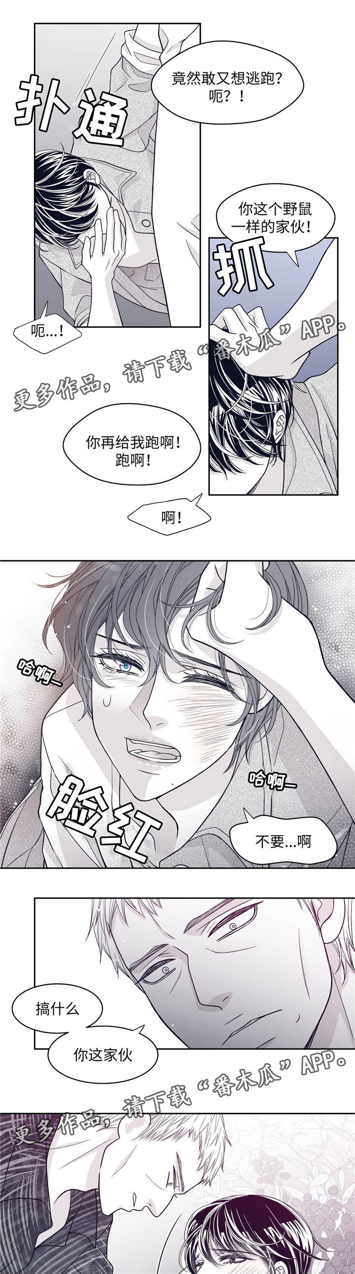 第60章：危机5