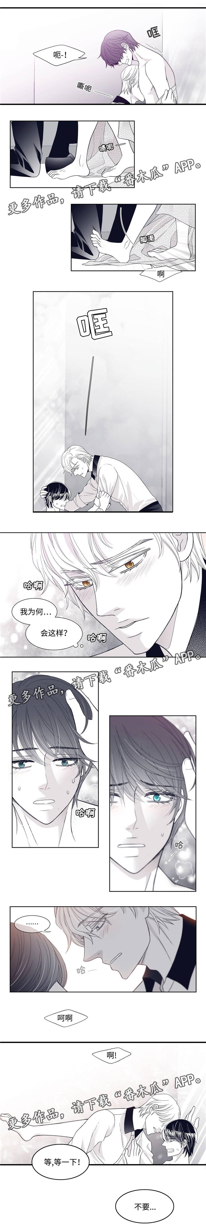 第6章：兴奋4
