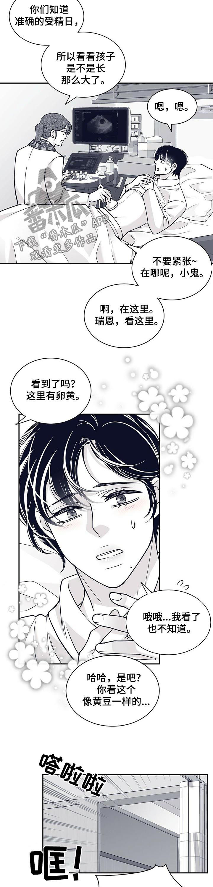 第155章：腹部检查7