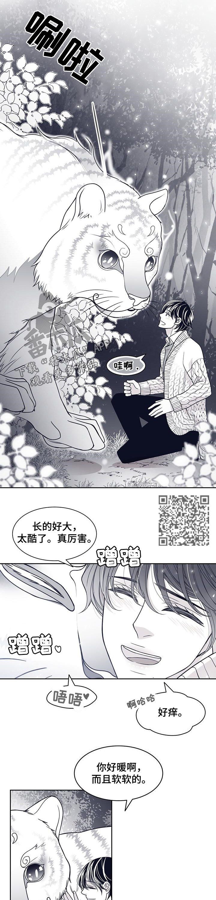 第84章：怀孕？4