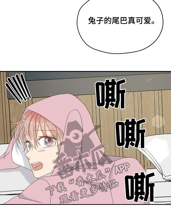 第111章：【番外完结】禽兽9