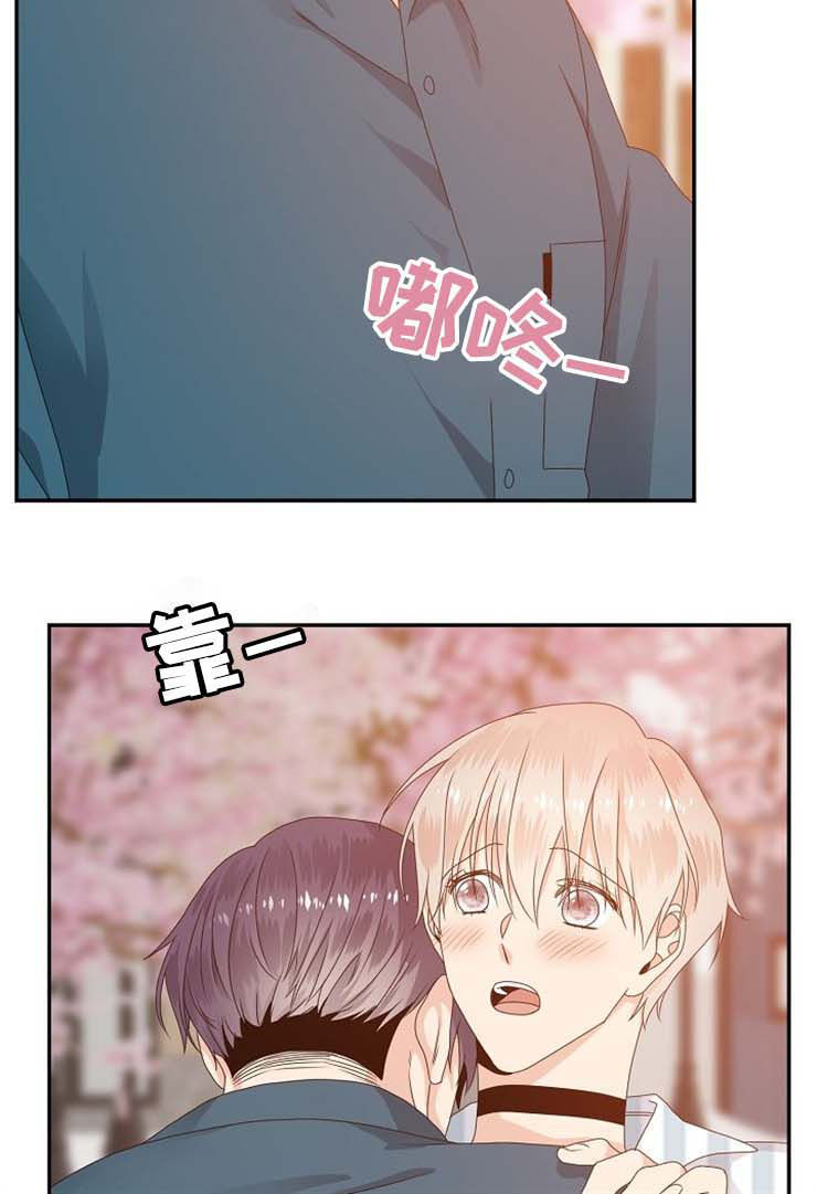 第31章：回答7