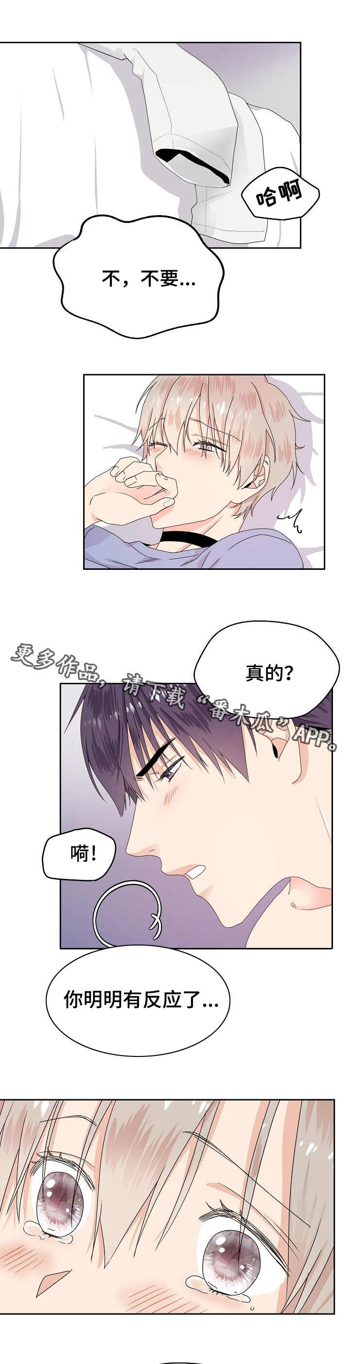 第5章：信息素7