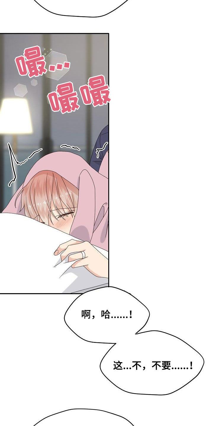 第111章：【番外完结】禽兽12
