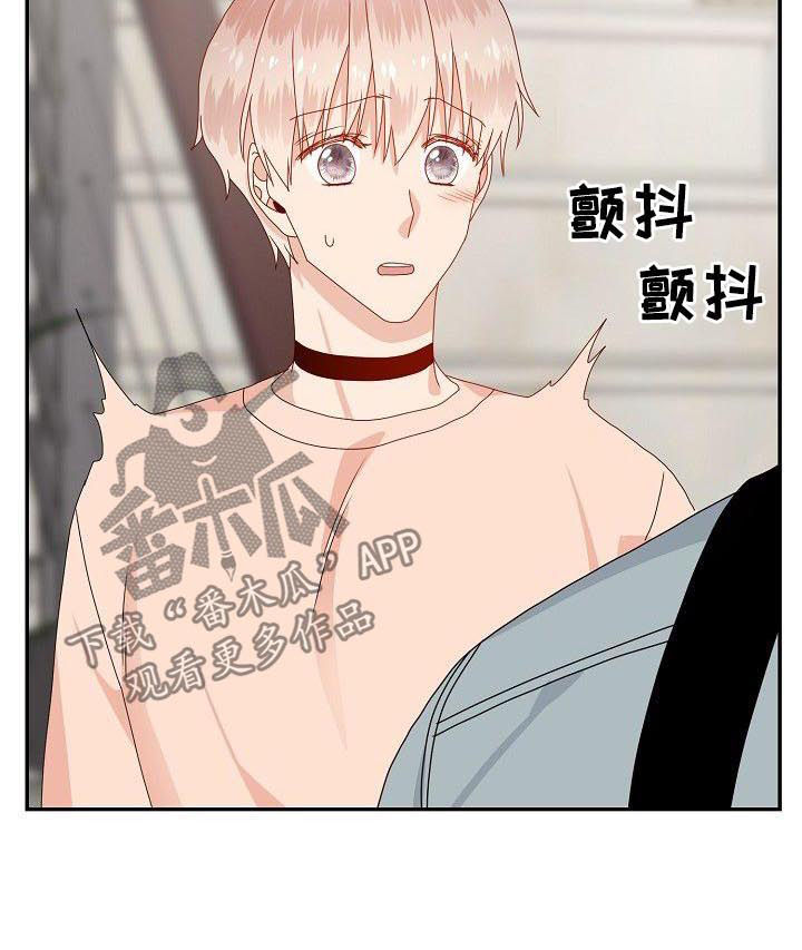 第41章：走吧6