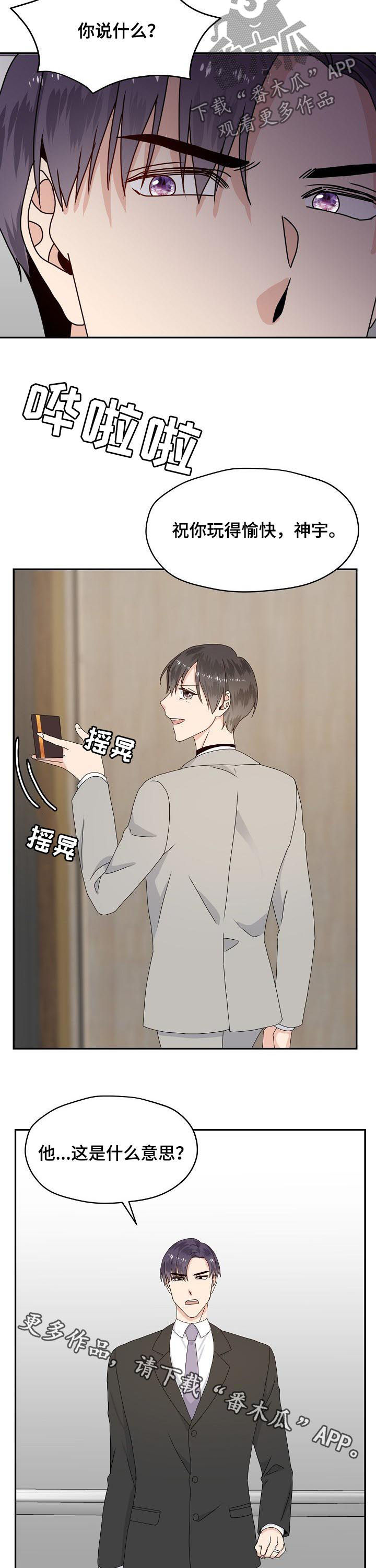 第71章：他是什么意思11