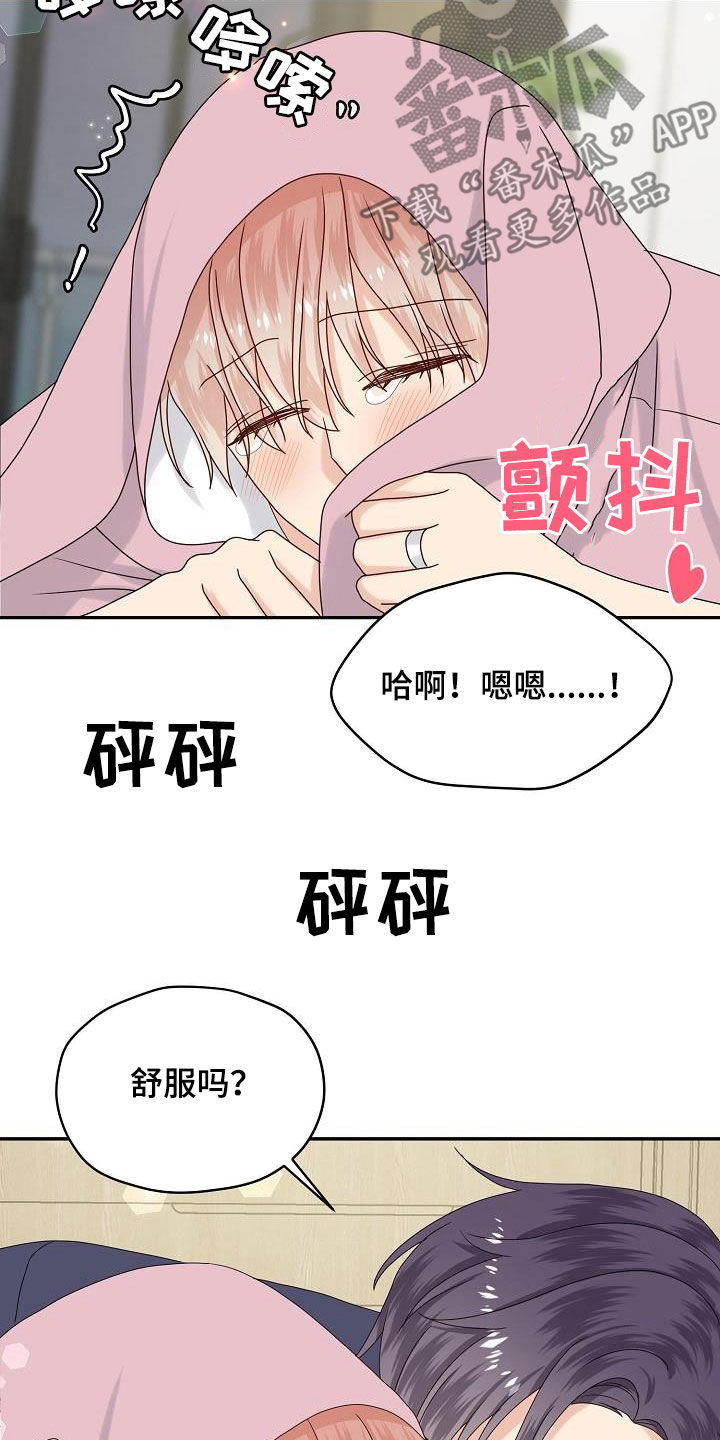 第111章：【番外完结】禽兽17